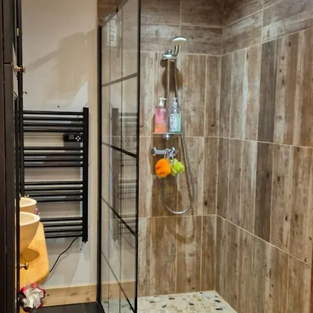 Le Chevreuil Proche La Foux D'allos