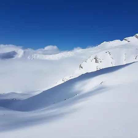 Le Chevreuil Proche La Foux D'allos Chalé *