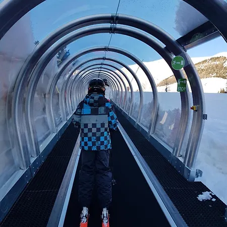 Le Chevreuil Proche La Foux D'allos Villars-Colmars