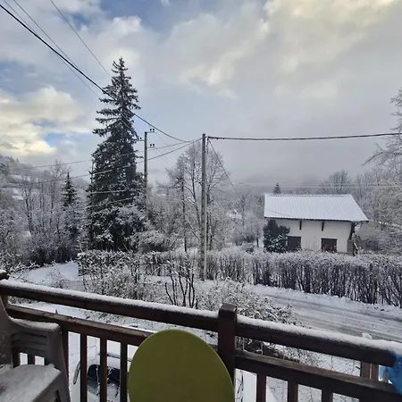 Le Chevreuil Proche La Foux D'allos