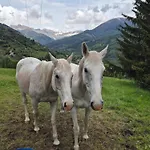 Le Chevreuil Proche La Foux D'allos Alpehytte