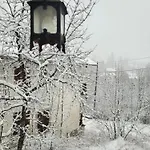 Le Chevreuil Proche La Foux D'allos