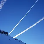 Le Chevreuil Proche La Foux D'allos Alpehytte Villars-Colmars