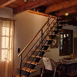 Le Chevreuil Proche La Foux D'allos Alpehytte