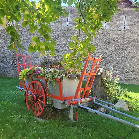 Le Chevreuil Proche La Foux D'allos * Villars-Colmars