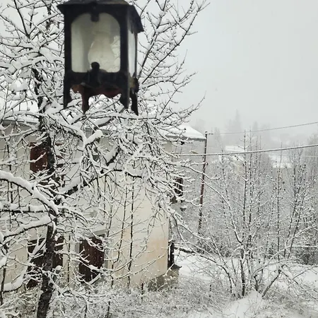 Le Chevreuil Proche La Foux D'allos