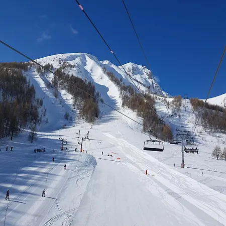 Le Chevreuil Proche La Foux D'allos * Villars-Colmars