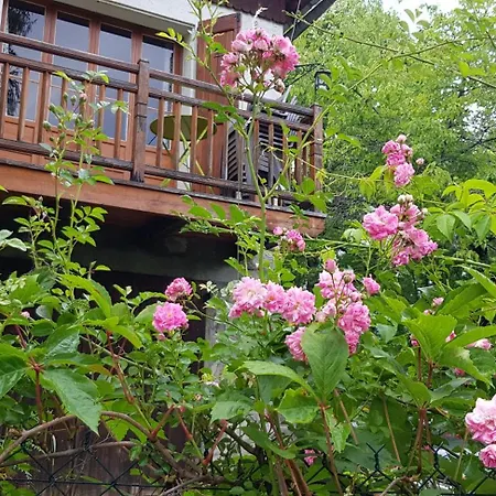 Le Chevreuil Chalet *
