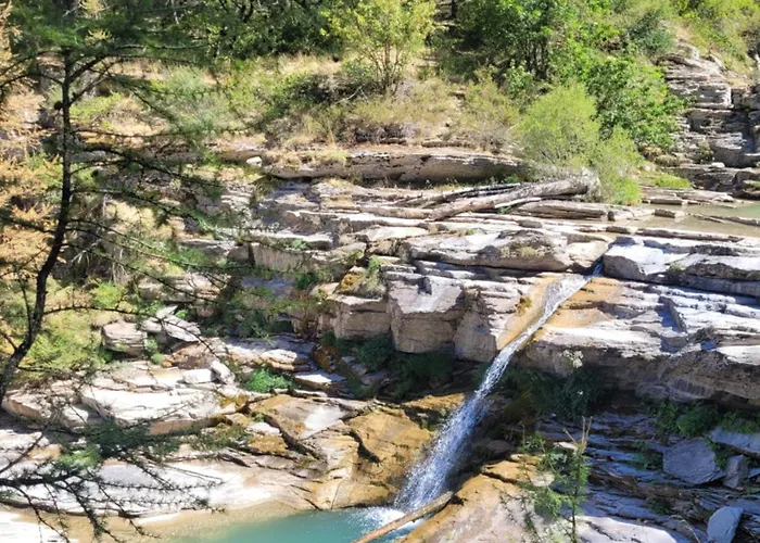 Le Chevreuil Proche La Foux D'allos Alpstuga *