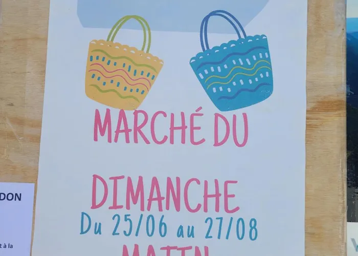 Le Chevreuil Proche La Foux D'allos *